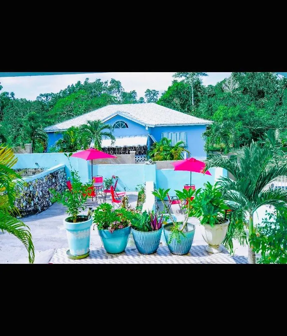 Coral Cove Cottage Negril Hébergement de vacances
